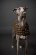 BARKA Dog Coat *less than 1m